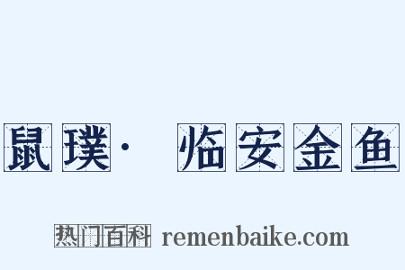 鼠璞·临安金鱼是什么意思的图片